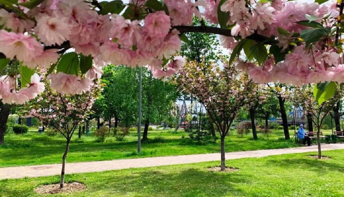 День апрельский год кормит: народные приметы второго месяца весны