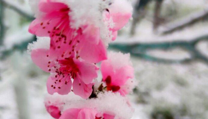 Зима возвращается: Украину накроют снег, дожди и ледяной ветер