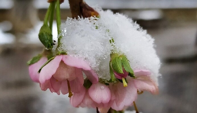 Снегопады, дожди и грозы: Украину накроет волна непогоды