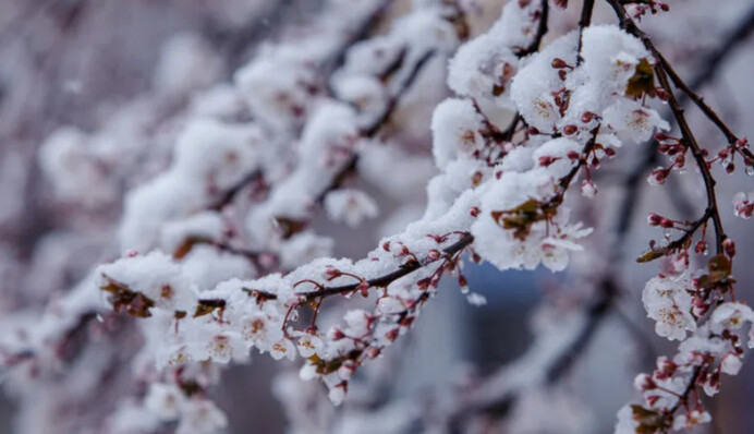 В Украину идут дожди и сильные снегопады: температура упадет до -8