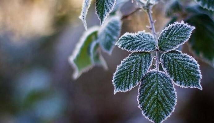 Істерика українців через наближення морозів роздратувала блогера