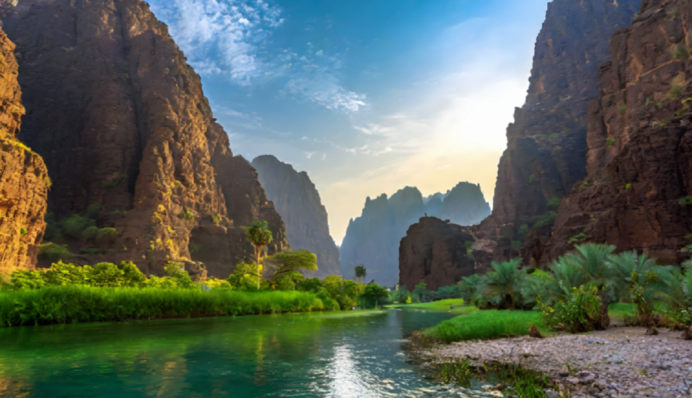 Саудівська Аравія була зеленим оазисом 8 мільйонів років тому - відкриття вчених вразило