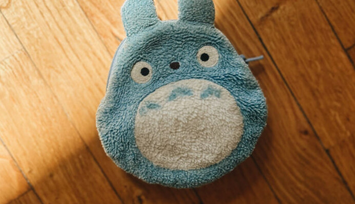 Преступник украл у украинки необычный кошелек в Бельгии и расплакался