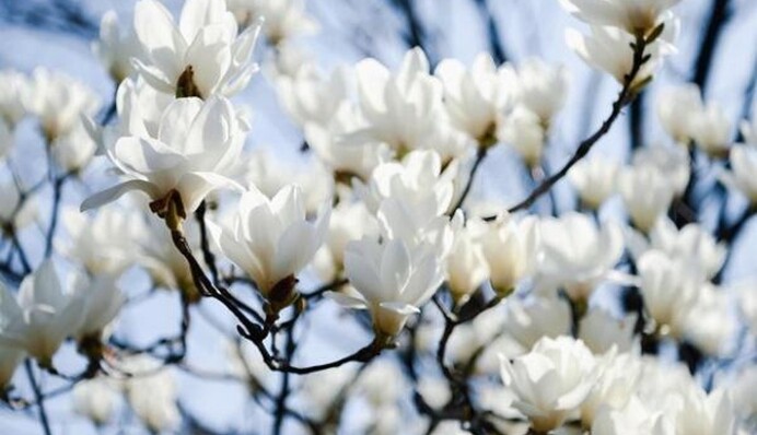 Температура упадет до +4: после летней жары в Украину снова придет похолодание