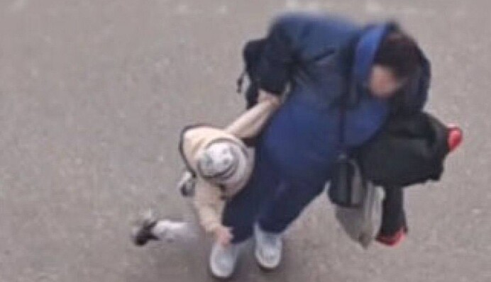 Женщиной, избившей на улице Киева маленького ребенка, занялась полиция