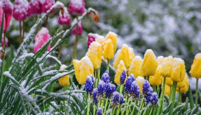 Ударят заморозки: синоптики прогнозируют похолодание после летнего тепла