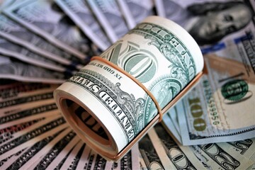 Why and how the US dollar is depreciating — explanation by the head of the Rada's Finance Committee