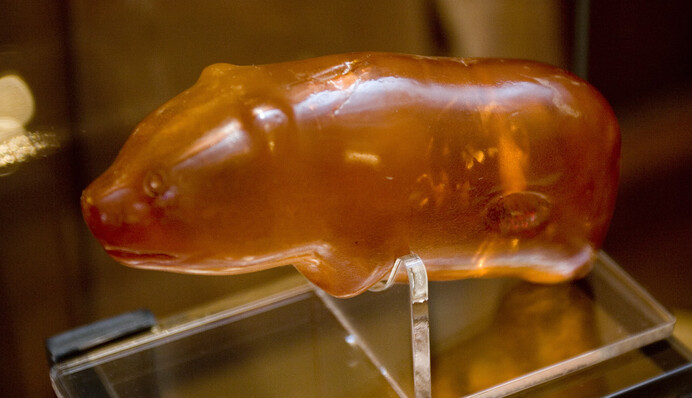 Янтарному медвежонку Слупчо, украденному во время Второй мировой войны, может быть более 5 тысяч лет