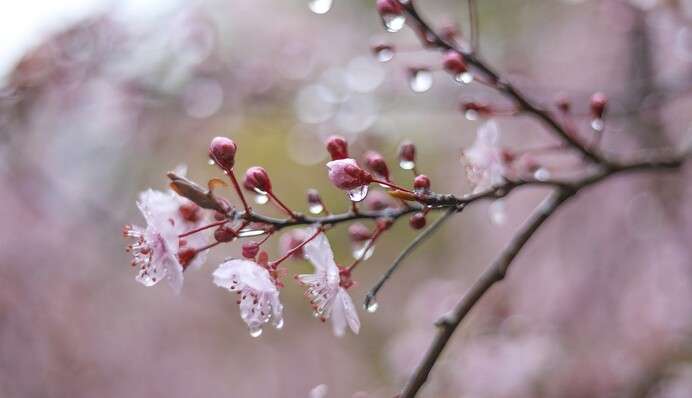 Путешествие в лето завершено: синоптик предупредил о сильном похолодании и дождях