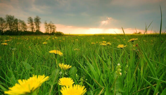 В Україну йде 30-градусна спека і сильні зливи: синоптики дали новий прогноз