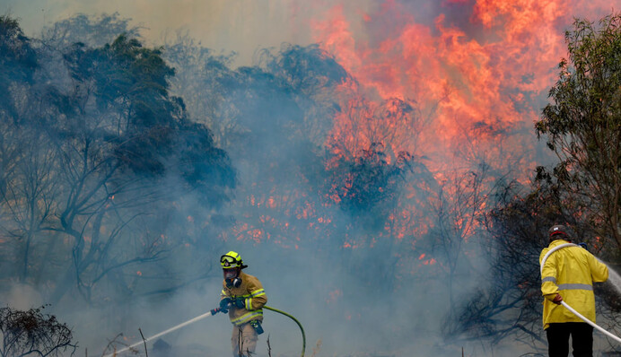 Вокруг Иерусалима вспыхнули лесные пожары: людей эвакуируют, нужна помощь из-за границы