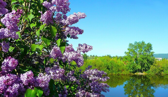 Каким будет май 2025-го: метеоролог дал прогноз на месяц