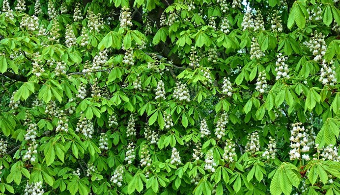 Один из самых теплых за 145 лет: в апреле установлен очередной температурный рекорд