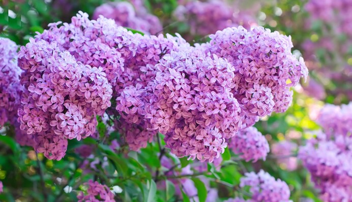 Температура упадет до 0°С: в Украину идет новая волна похолодания