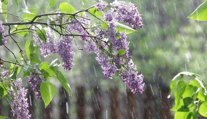 Украину накрыла непогода: где в среду пройдут сильные ливни и грозы