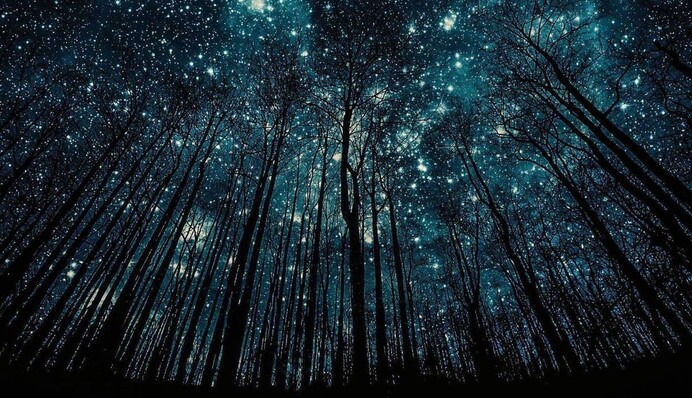 Земля пройде крізь метеорний потік Ета-Аквариди - коли можна побачити травневий зорепад