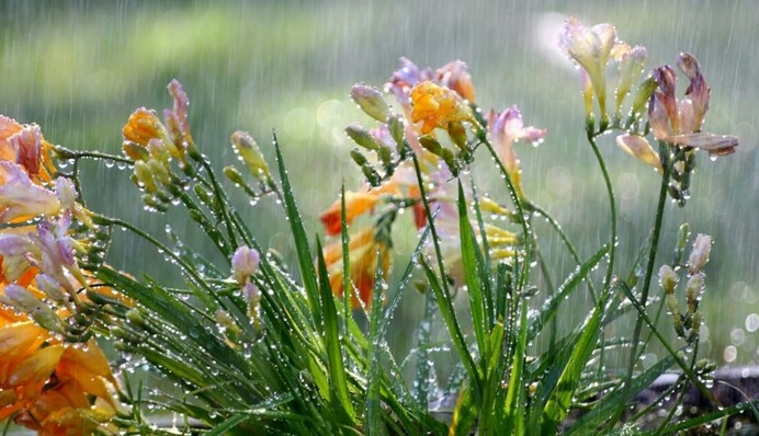 Заморозки до -5°: синоптики предупредили о значительном похолодании