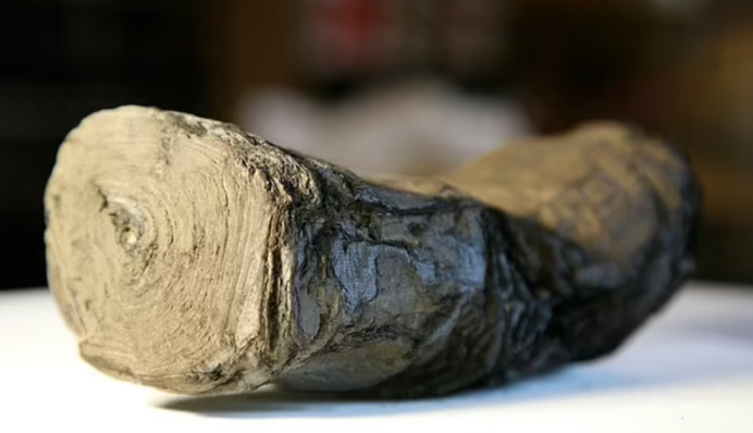 Ученые узнали имя автора Геркуланумского свитка, уцелевшего во время извержения Везувия