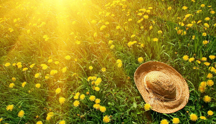 Лето будет аномальным: синоптик прогнозирует 40-градусную жару