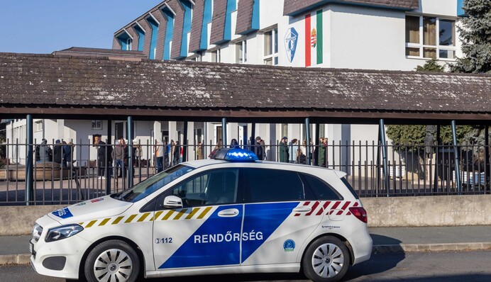 "Є  ілюстрацією іншої проблеми": у затриманні угорськими силовиками українського ексдипломата побачили показову деталь