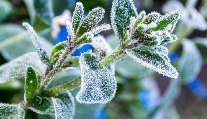 Заморозки и снег: синоптик рассказал, когда закончится майская "зима"