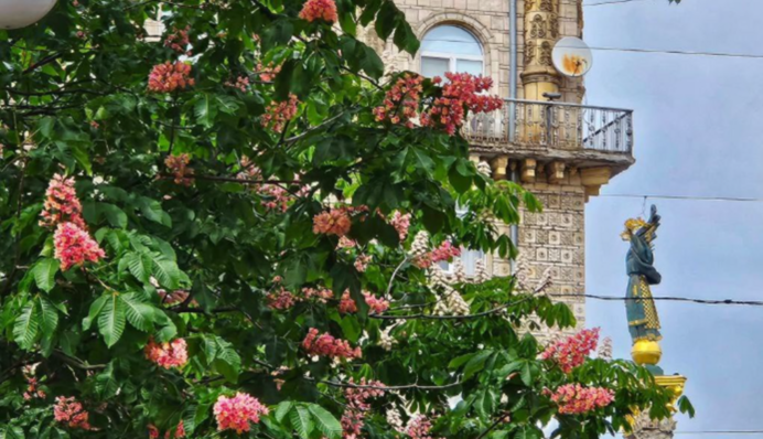 Коли в Україну повернеться справжнє весняне тепло: прогноз до +25 вже незабаром