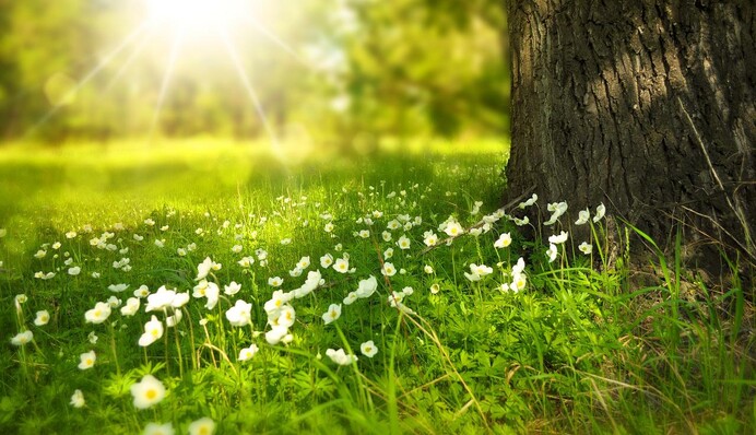 Лето уже на пороге: когда придет долгожданное тепло