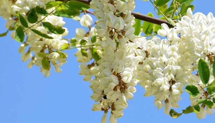 Дожди возьмут перерыв: что ждать от погоды в ближайшие дни