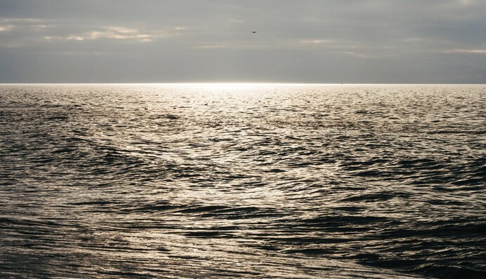 ​Тестуватимуть систему дронів: у Латвії створили новий морський полігон