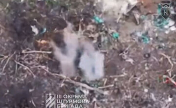 ​Пилоты Третьей штурмовой зачистили силы россиян на Харьковщине