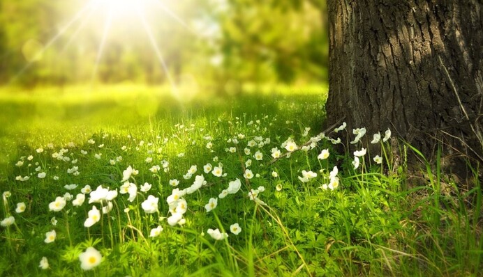 Дощі припиняться, Україну розігріє до +30: синоптики дали свіжий прогноз