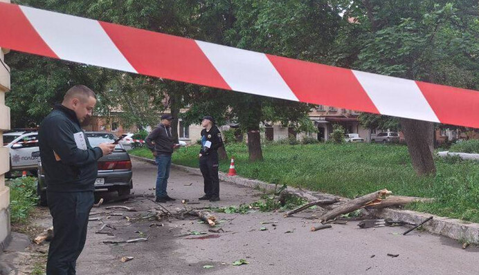 В Полтаве посреди центра на ребенка упала ветка