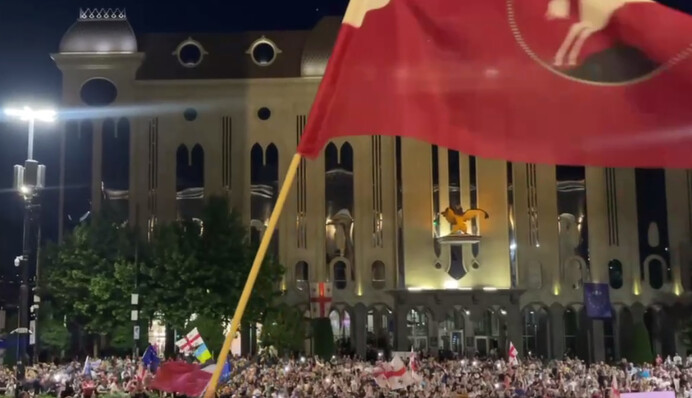 ​Опозиція Грузії вийшла на мітинг, присвячений Дню незалежності