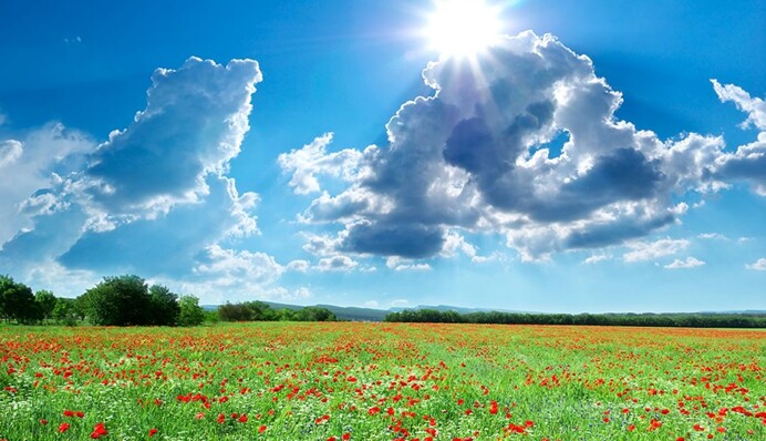 Літо почнеться зі спеки +30, але триватиме вона недовго: прогноз синоптиків