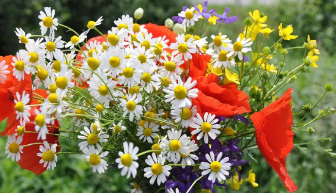 Яке свято 4 червня і що категорично заборонено робити в цей день