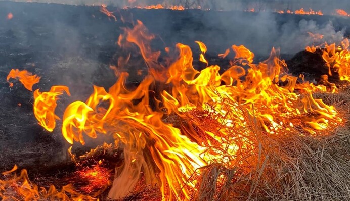 В Ростовской области РФ горел аэродром