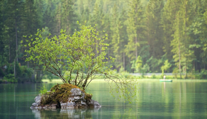 Яке свято 6 червня: історія, традиції, прикмети і заборони цього дня