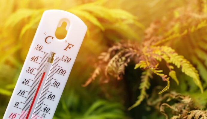 В понедельник в западных и северных областях снизится температура, на юго-востоке – сильная жара – Укргидрометцентр