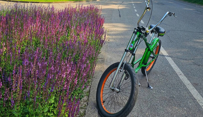 В Киеве зафиксировали серию температурных рекордов