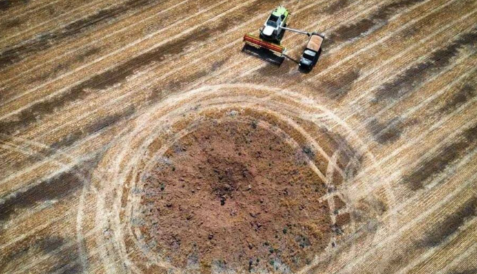 Грозит ли Украине голод из-за неурожая: специалисты дали четкий ответ