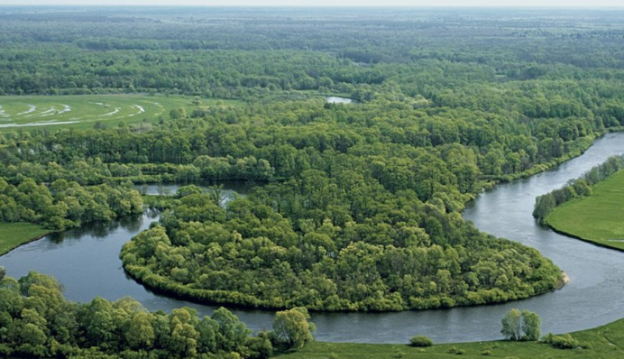 Вимагав 100 тис. грн: директор одного із заповідників на Київщині постане перед судом