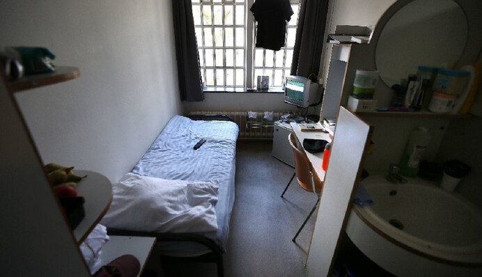 Украинская делегация изучает систему пробации Нидерландов: вместо тюрьмы шанс на исправление