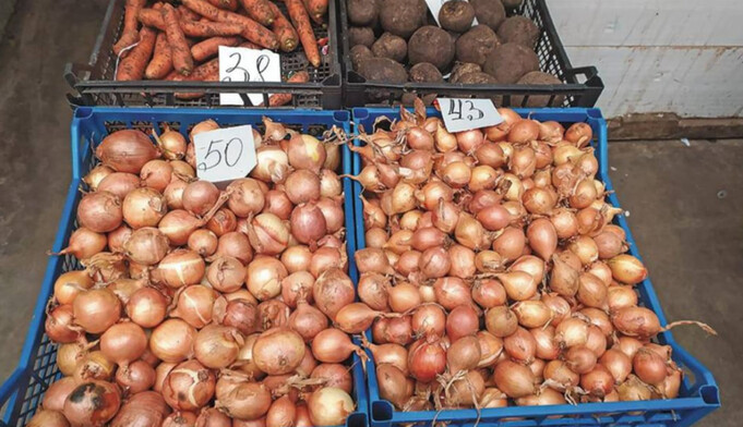 ​В Україні зафіксували ціновий рекорд на цибулю