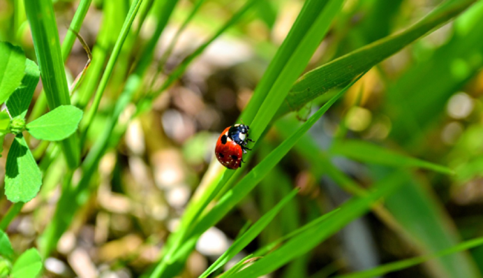 Лето задерживается в пути: что ждать от погоды до конца июня