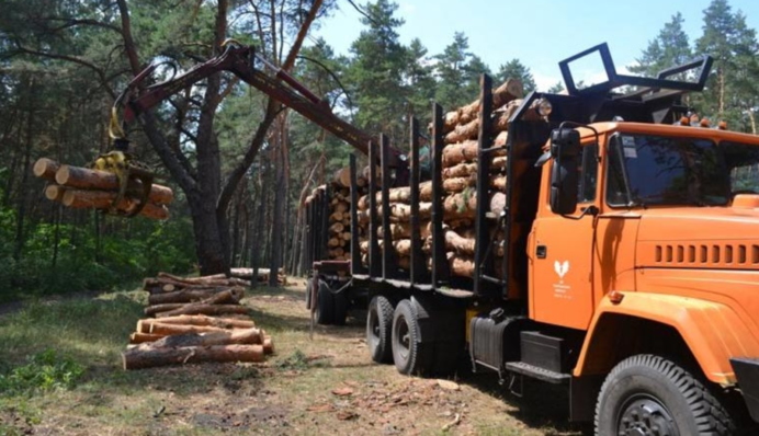 Ущерб на 68 млн грн: трое экс-руководителей военного лесхоза получили подозрения