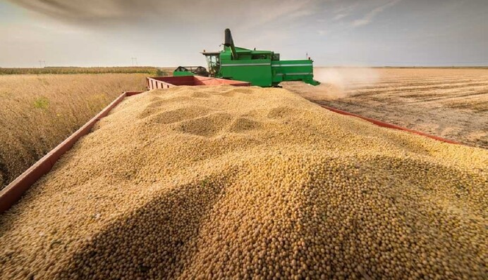 Вывозная пошлина на сою и рапс даст 7,3 млрд грн в госбюджет на ВСУ и создаст десятки новых заводов — Кисилевский