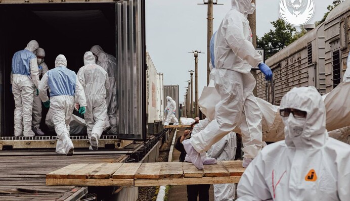 От нескольких дней до месяцев: в МВД рассказали о продолжительности идентификации тел погибших воинов