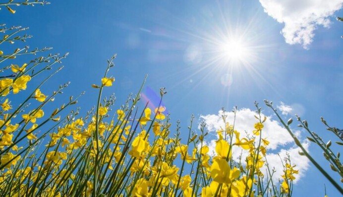 День літнього сонцестояння 2025: що означає ця дата і як її святкують у світі