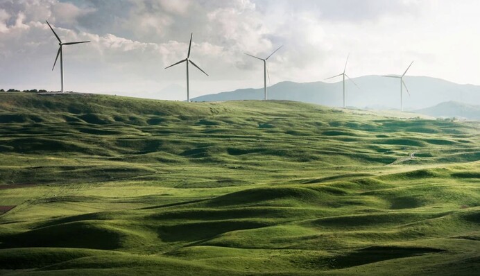 Долги являются серьезной проблемой для зеленой энергетики – глава Ассоциации