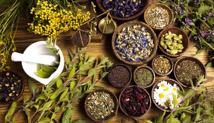 Лекарственные травы сегодня имеют особую силу: какой праздник 20 июня, традиции, приметы и запреты